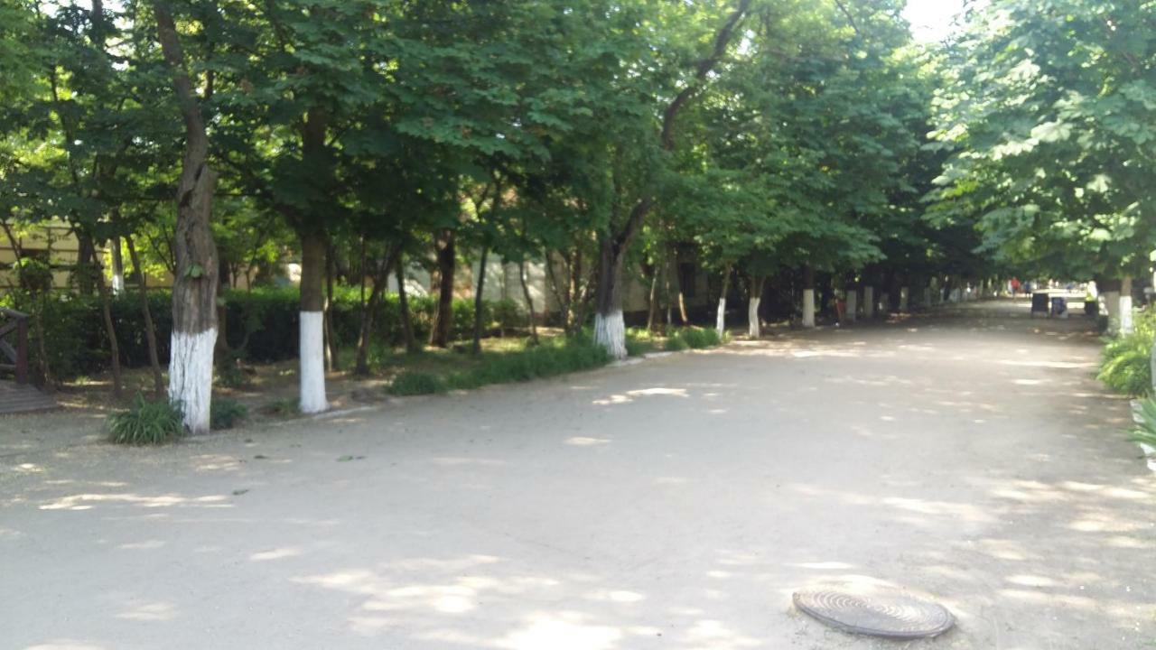 Otel Elena Kurortne  Dış mekan fotoğraf